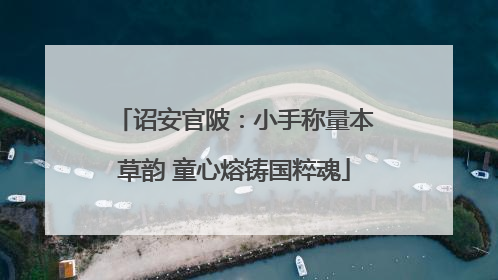 诏安官陂：小手称量本草韵 童心熔铸国粹魂