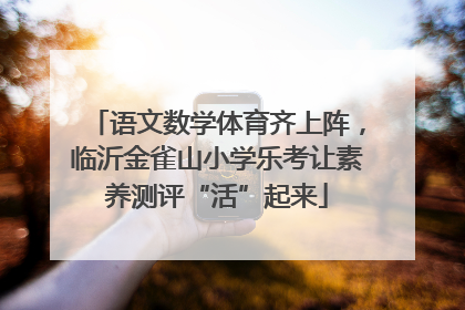 语文数学体育齐上阵，临沂金雀山小学乐考让素养测评“活”起来