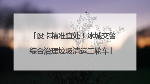 设卡精准查处！冰城交警综合治理垃圾清运三轮车