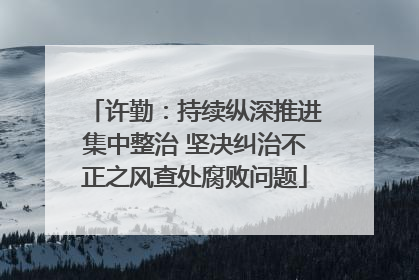 许勤：持续纵深推进集中整治 坚决纠治不正之风查处腐败问题