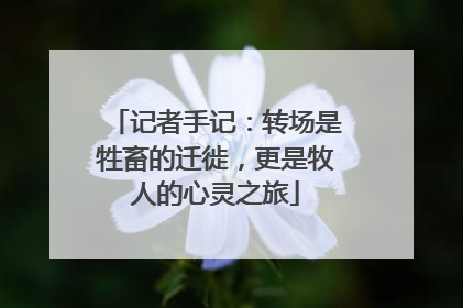 记者手记：转场是牲畜的迁徙，更是牧人的心灵之旅