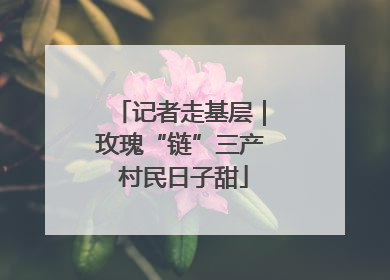 记者走基层｜玫瑰“链”三产 村民日子甜
