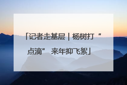 记者走基层｜杨树打“点滴” 来年抑飞絮