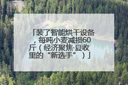 装了智能烘干设备，每吨小麦减损60斤（经济聚焦·夏收里的“新选手”）