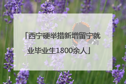 西宁硬举措新增留宁就业毕业生1800余人