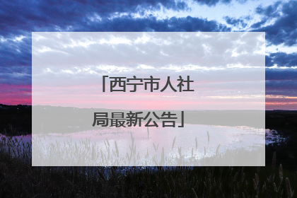 西宁市人社局最新公告