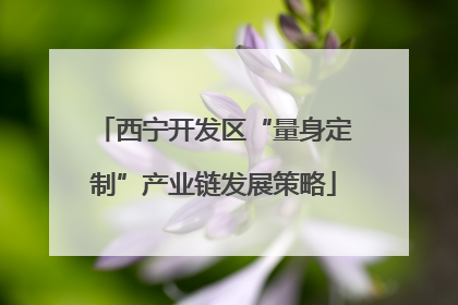 西宁开发区“量身定制”产业链发展策略