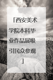 西安美术学院本科毕业作品展吸引民众参观