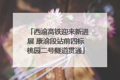 西渝高铁迎来新进展 康渝段站前四标桃园二号隧道贯通