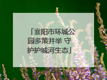 襄阳市环城公园多策并举 守护护城河生态