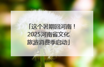 这个暑期回河南！2025河南省文化旅游消费季启动