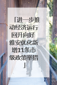 进一步推动经济运行回升向好 雅安优化新增11条市级政策举措