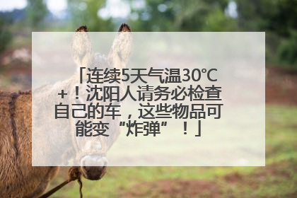 连续5天气温30℃+！沈阳人请务必检查自己的车，这些物品可能变“炸弹”！