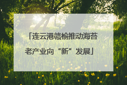 连云港赣榆推动海苔老产业向“新”发展