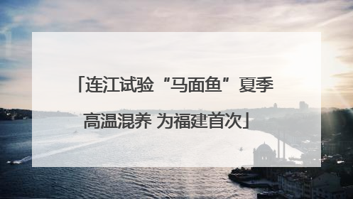 连江试验“马面鱼”夏季高温混养 为福建首次