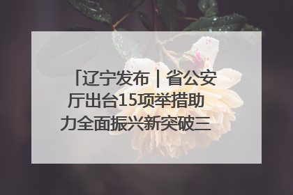 辽宁发布｜省公安厅出台15项举措助力全面振兴新突破三年行动决胜之战