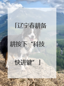 辽宁春耕备耕按下“科技快进键”