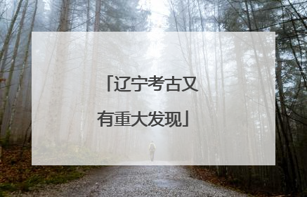 辽宁考古又有重大发现