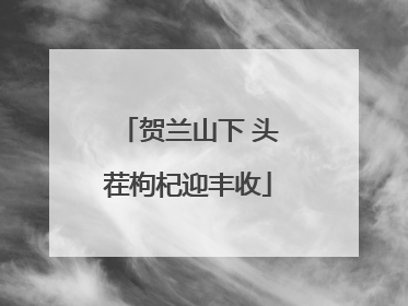 贺兰山下 头茬枸杞迎丰收