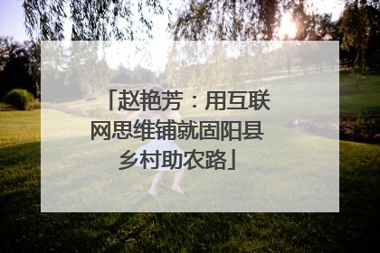 赵艳芳：用互联网思维铺就固阳县乡村助农路