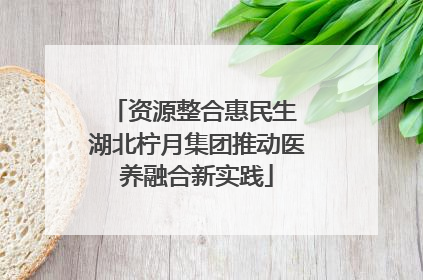 资源整合惠民生 湖北柠月集团推动医养融合新实践