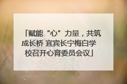 赋能“心”力量，共筑成长桥 宜宾长宁梅白学校召开心育委员会议