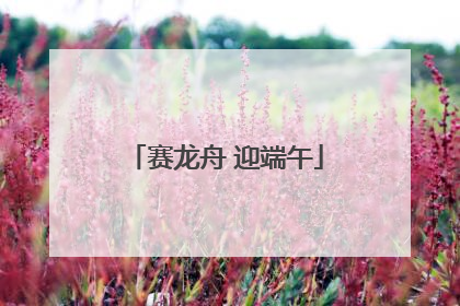 赛龙舟 迎端午