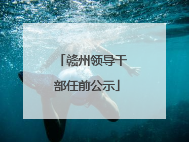 赣州领导干部任前公示