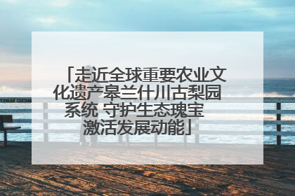走近全球重要农业文化遗产皋兰什川古梨园系统 守护生态瑰宝 激活发展动能