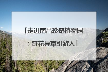走进南昌珍奇植物园：奇花异草引游人