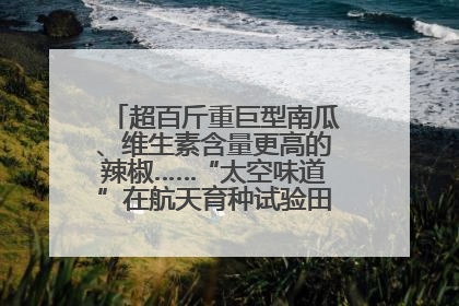 超百斤重巨型南瓜、维生素含量更高的辣椒……“太空味道”在航天育种试验田里拔节生长
