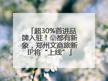 超30%首进品牌入驻！亳都有新象，郑州文商旅新IP将“上线”