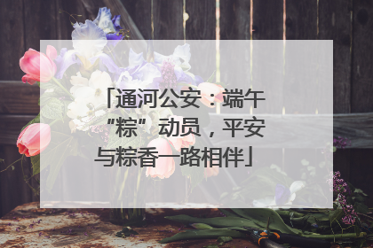 通河公安：端午“粽”动员，平安与粽香一路相伴