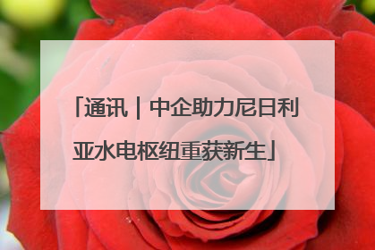 通讯｜中企助力尼日利亚水电枢纽重获新生