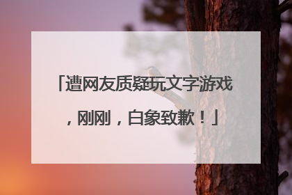 遭网友质疑玩文字游戏，刚刚，白象致歉！