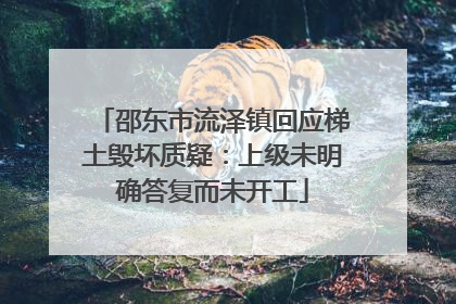 邵东市流泽镇回应梯土毁坏质疑：上级未明确答复而未开工