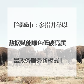 邹城市：多措并举以数据赋能绿色低碳高质量政务服务新模式