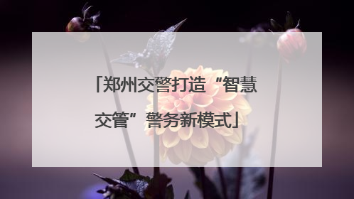 郑州交警打造“智慧交管”警务新模式