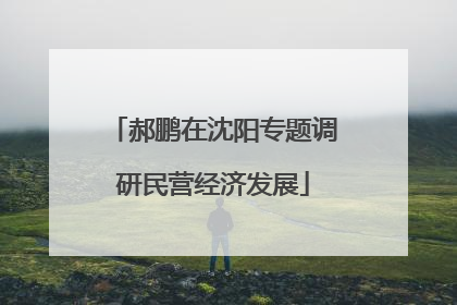 郝鹏在沈阳专题调研民营经济发展