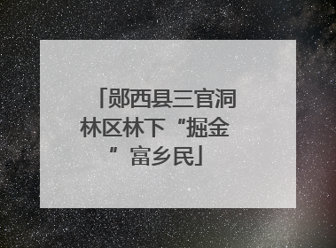 郧西县三官洞林区林下“掘金”富乡民