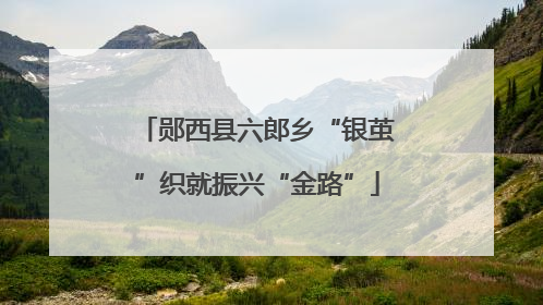 郧西县六郎乡“银茧”织就振兴“金路”