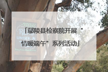 鄢陵县检察院开展“情暖端午”系列活动