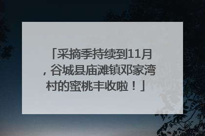 采摘季持续到11月，谷城县庙滩镇邓家湾村的蜜桃丰收啦！