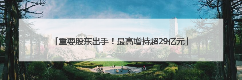 重要股东出手！最高增持超29亿元
