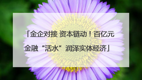 金企对接 资本链动！百亿元金融“活水”润泽实体经济