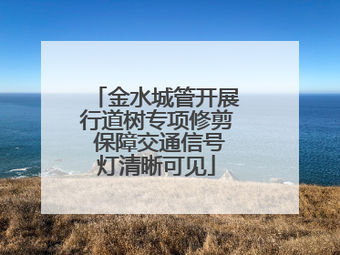 金水城管开展行道树专项修剪 保障交通信号灯清晰可见