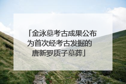 金泳墓考古成果公布 为首次经考古发掘的唐新罗质子墓葬