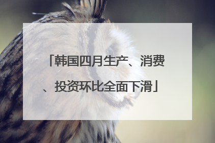 韩国四月生产、消费、投资环比全面下滑