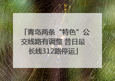 青岛两条“特色”公交线路有调整 昔日最长线312路停运