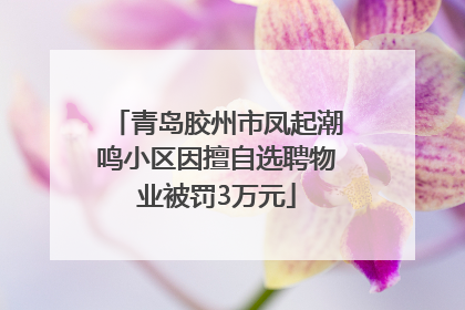 青岛胶州市凤起潮鸣小区因擅自选聘物业被罚3万元